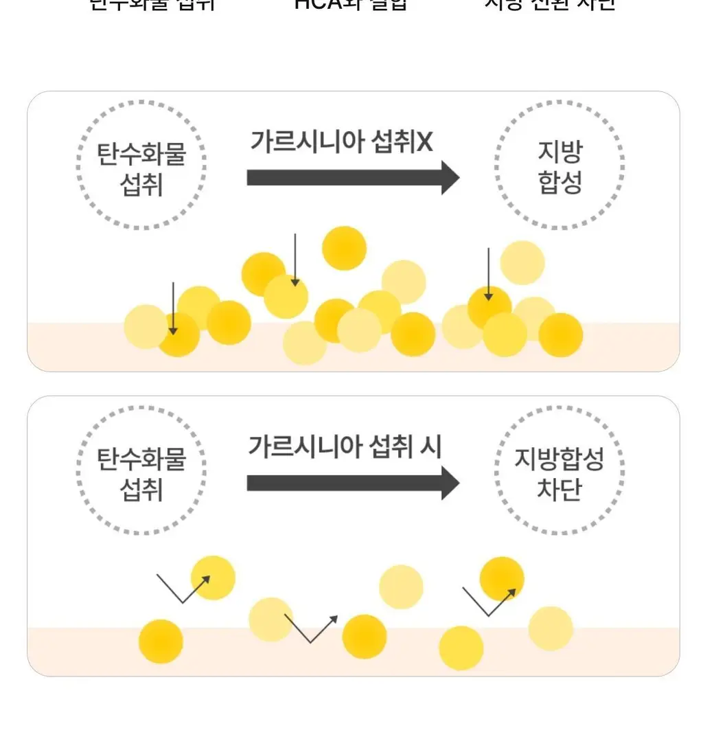 [포켓몬 에디션/5월 올영픽] 니아르 가르시니아/브이케어 14+6정 기획 (+미니하트괄사 랜덤 증정) 상세페이지 84